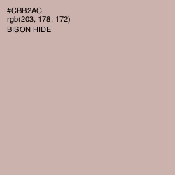 #CBB2AC - Bison Hide Color Image